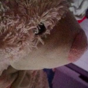 Soft toy